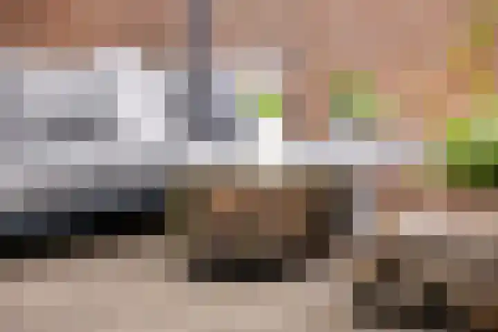 van Dijksweg 28 Zalk thumbnail 42