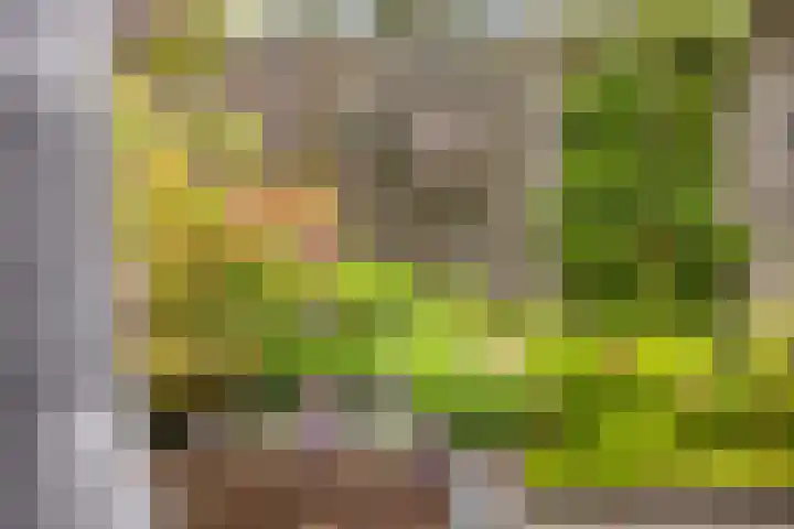 van Dijksweg 28 Zalk thumbnail 44