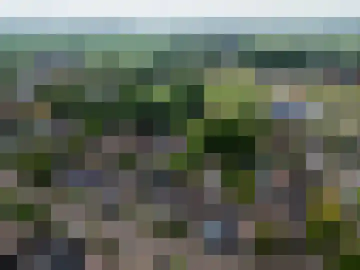 van Dijksweg 28 Zalk thumbnail 45