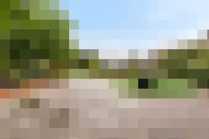 van Dijksweg 28 Zalk thumbnail 46