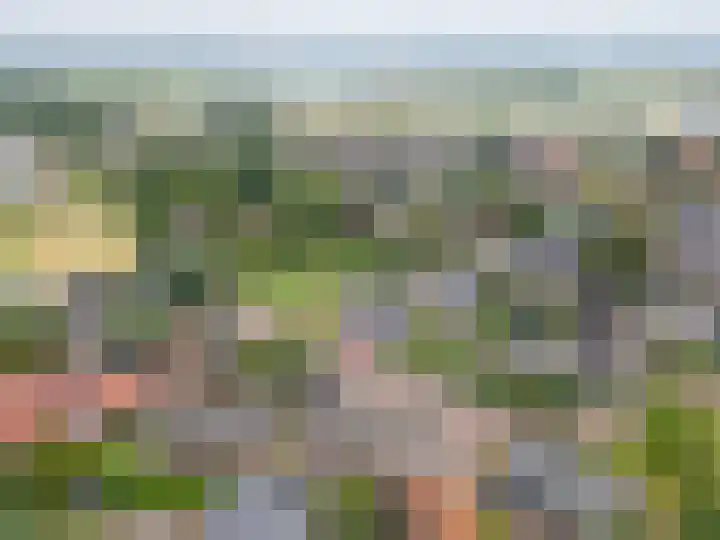 van Dijksweg 28 Zalk thumbnail 47