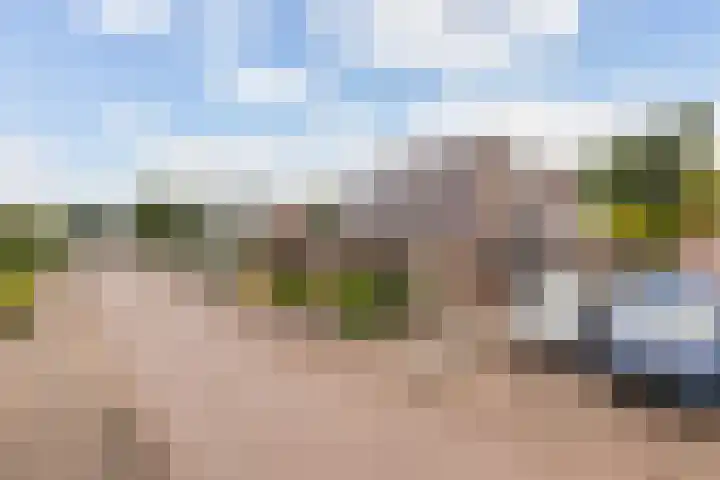 van Dijksweg 28 Zalk thumbnail 5