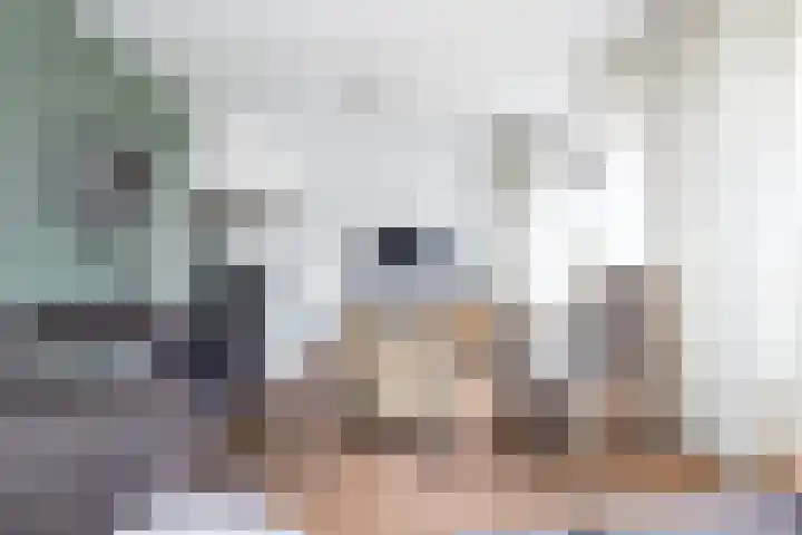 van Dijksweg 28 Zalk thumbnail 9