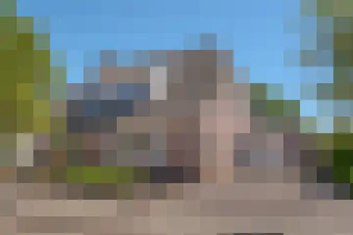 van Dijksweg 31 Zalk thumbnail 10