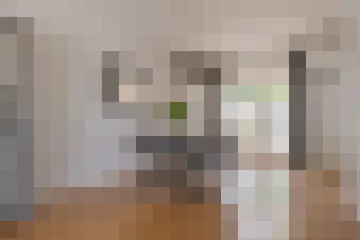 van Dijksweg 31 Zalk thumbnail 21