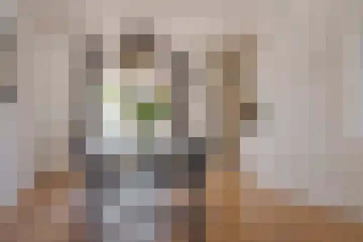 van Dijksweg 31 Zalk thumbnail 22