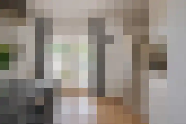 van Dijksweg 31 Zalk thumbnail 25