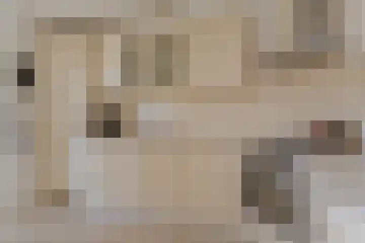 van Dijksweg 31 Zalk thumbnail 26