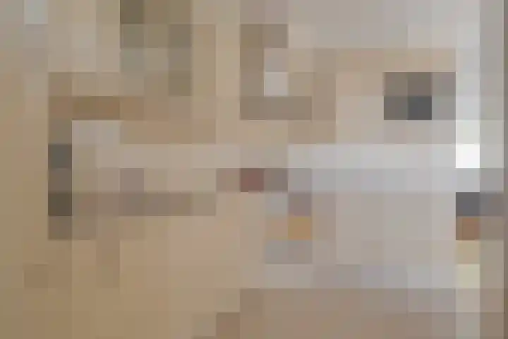 van Dijksweg 31 Zalk thumbnail 27