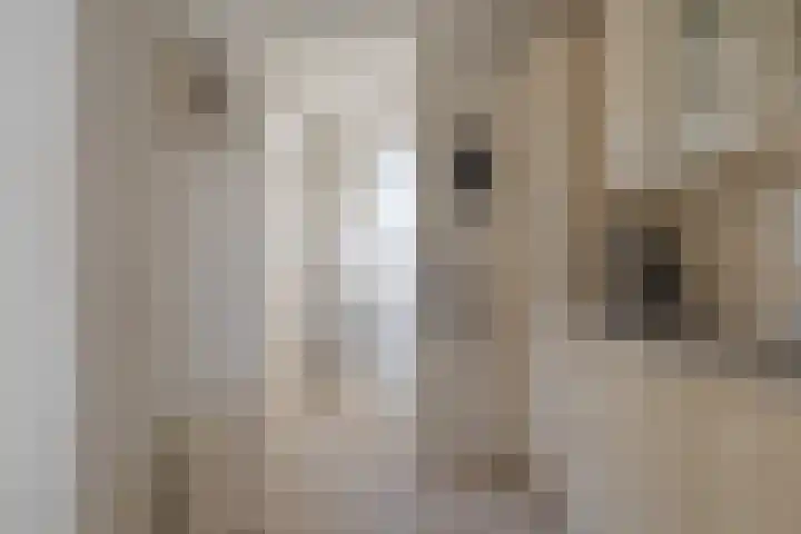 van Dijksweg 31 Zalk thumbnail 28