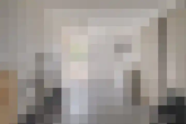 van Dijksweg 31 Zalk thumbnail 32
