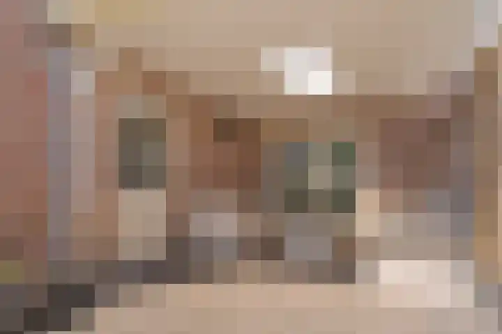 van Dijksweg 31 Zalk thumbnail 35