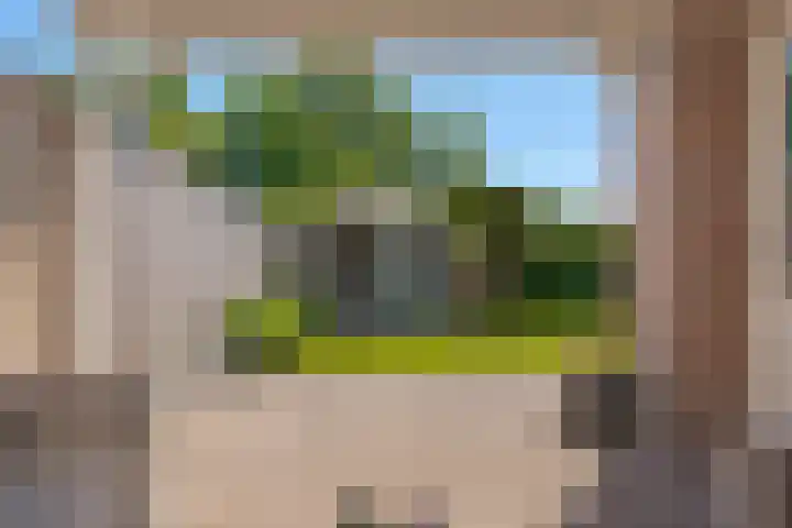 van Dijksweg 31 Zalk thumbnail 36