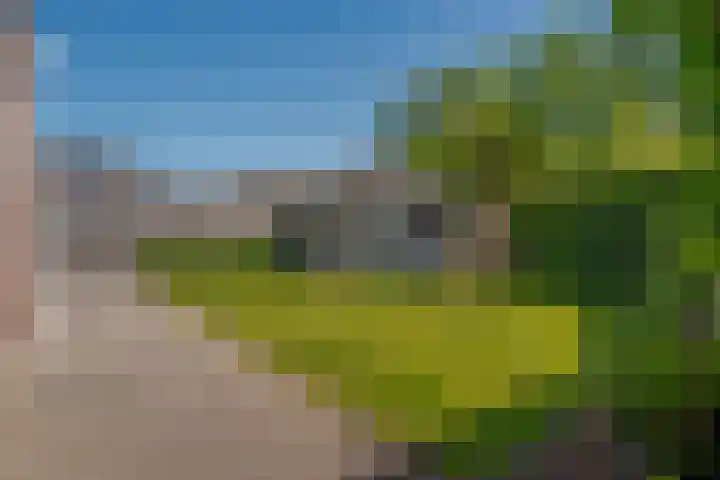 van Dijksweg 31 Zalk thumbnail 39