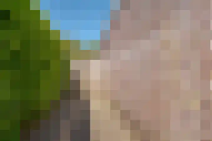 van Dijksweg 31 Zalk thumbnail 40
