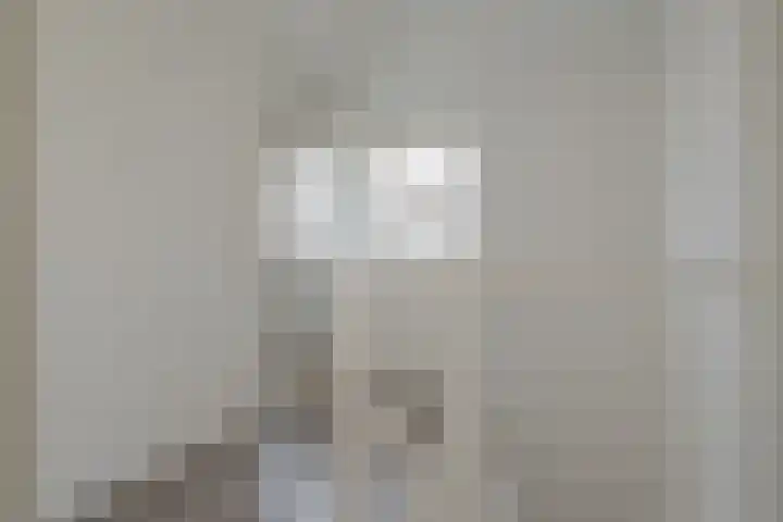 van Dijksweg 31 Zalk thumbnail 44