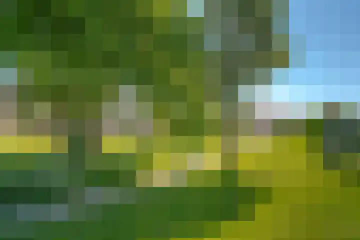 van Dijksweg 31 Zalk thumbnail 5