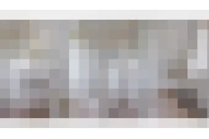 van Dijksweg 31 Zalk thumbnail 56