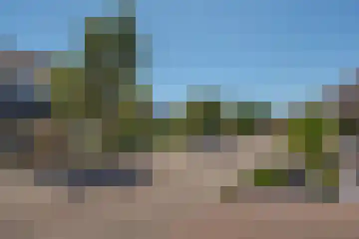 van Dijksweg 31 Zalk thumbnail 58