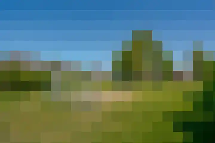van Dijksweg 31 Zalk thumbnail 6