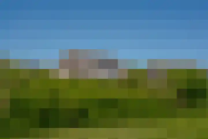 van Dijksweg 31 Zalk thumbnail 7