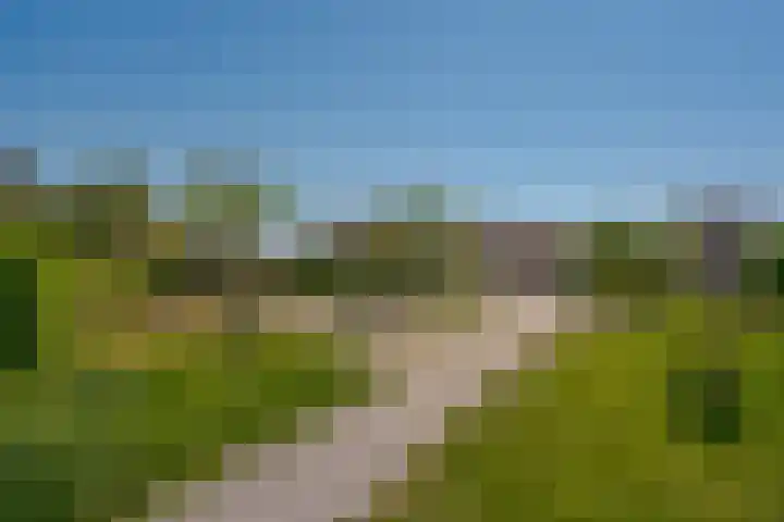 van Dijksweg 31 Zalk thumbnail 8