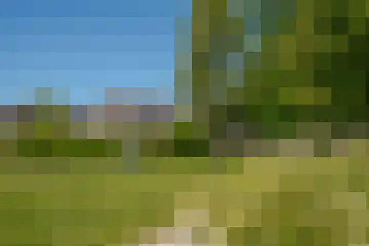 van Dijksweg 31 Zalk thumbnail 9