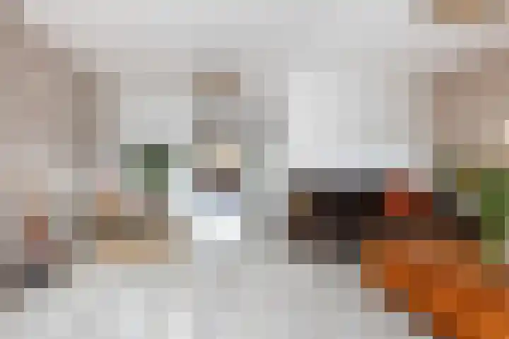 van Dijksweg 34 Zalk thumbnail 12