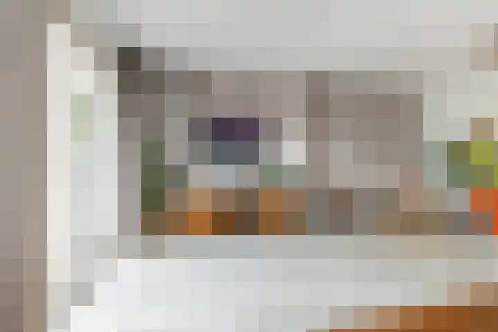 van Dijksweg 34 Zalk thumbnail 13