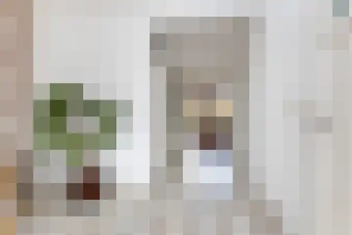 van Dijksweg 34 Zalk thumbnail 14