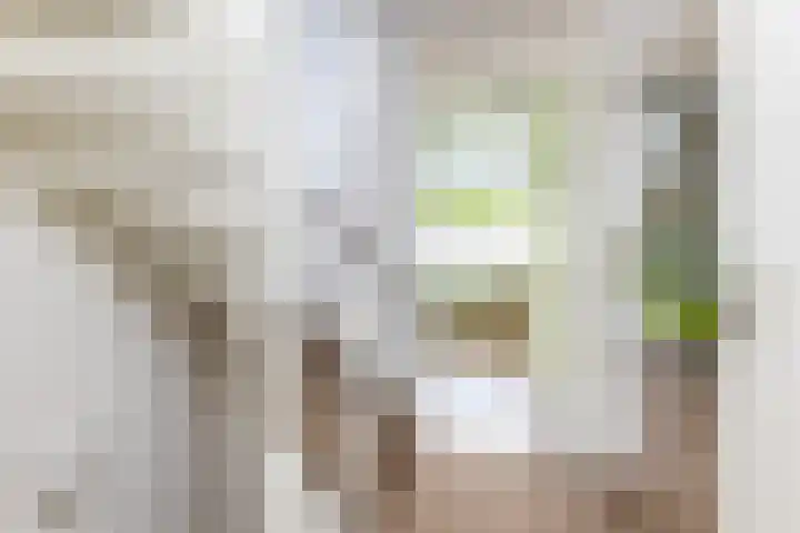 van Dijksweg 34 Zalk thumbnail 25