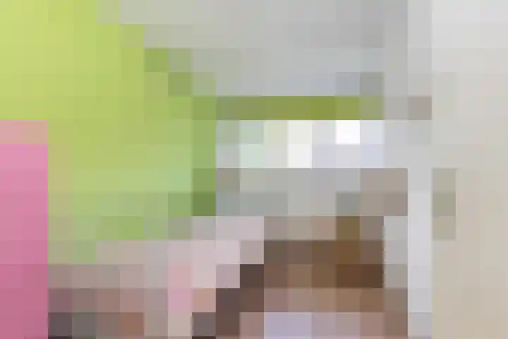 van Dijksweg 34 Zalk thumbnail 26