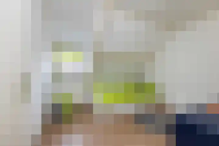 van Dijksweg 34 Zalk thumbnail 27