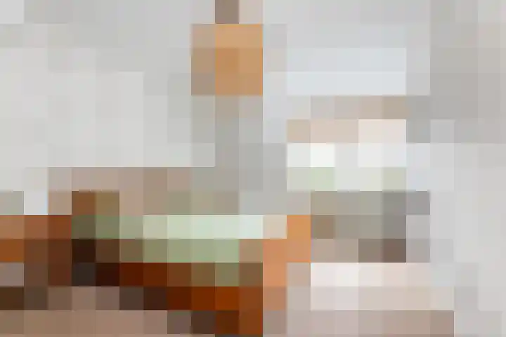 van Dijksweg 34 Zalk thumbnail 29