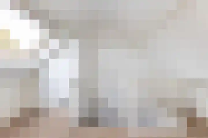 van Dijksweg 34 Zalk thumbnail 31