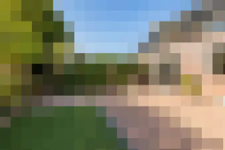 van Dijksweg 34 Zalk thumbnail 35