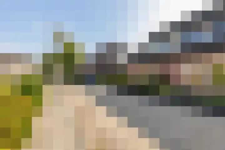 van Dijksweg 34 Zalk thumbnail 36