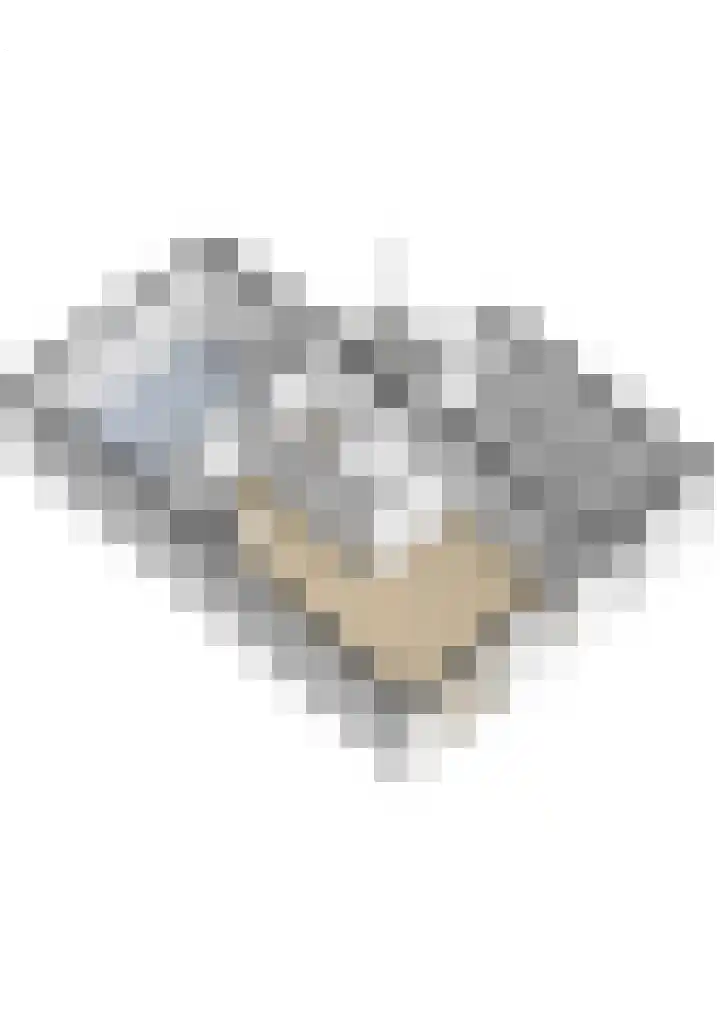 van Dijksweg 34 Zalk thumbnail 40