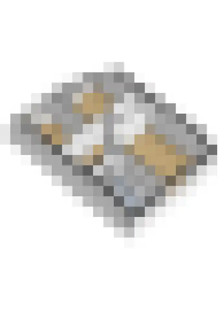 van Dijksweg 34 Zalk thumbnail 41