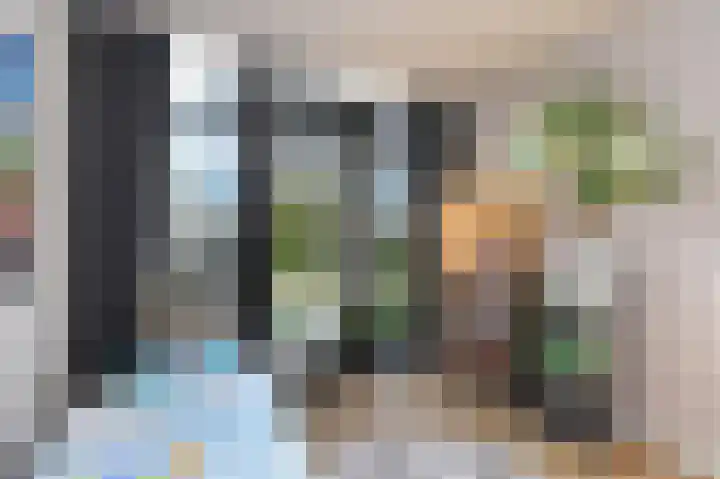 Van Dijkwater 29 Den Haag thumbnail 49