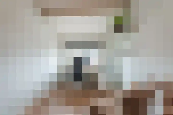 Van Dillewijndreef 17 Amersfoort thumbnail 14