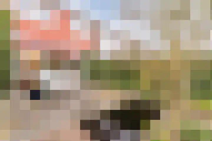 Van Dillewijndreef 17 Amersfoort thumbnail 18