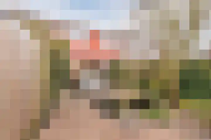 Van Dillewijndreef 17 Amersfoort thumbnail 19