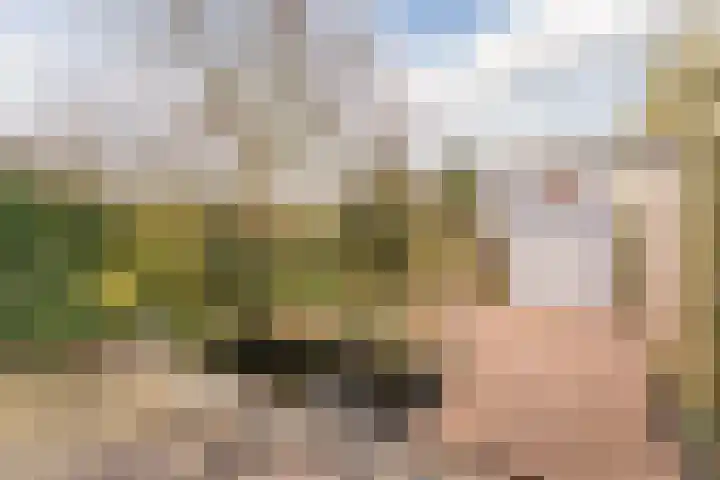Van Dillewijndreef 17 Amersfoort thumbnail 21