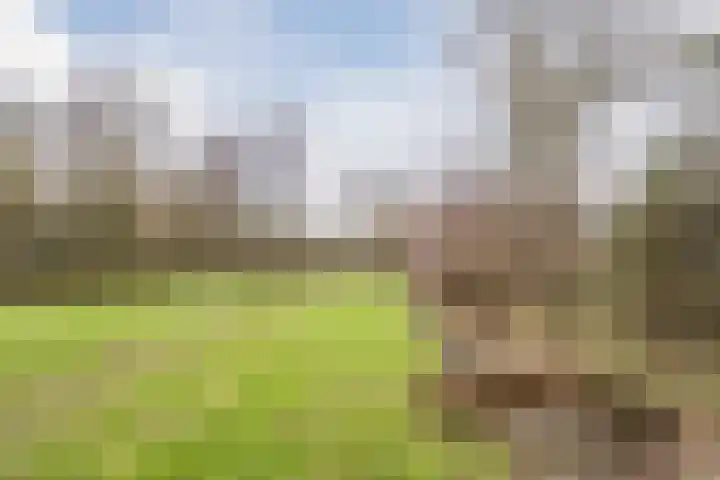 Van Dillewijndreef 17 Amersfoort thumbnail 28
