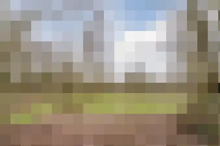 Van Dillewijndreef 17 Amersfoort thumbnail 29