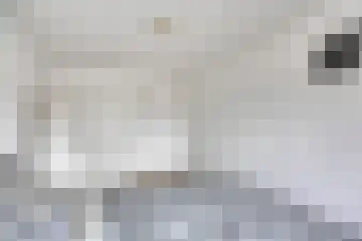 Van Dillewijndreef 7 Amersfoort thumbnail 13