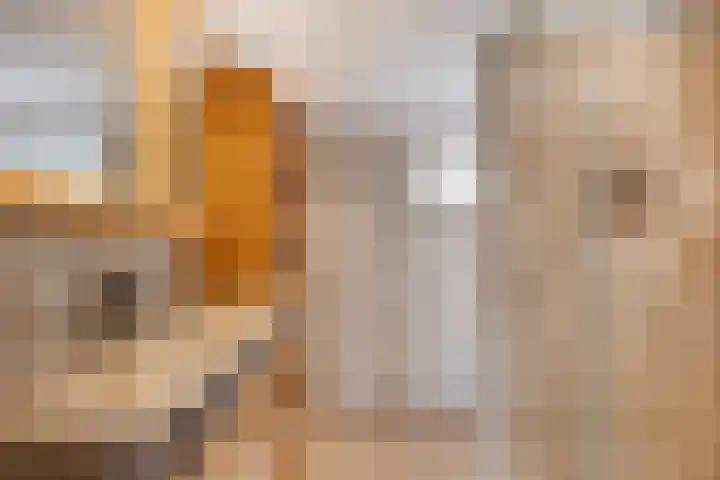 Van Dillewijndreef 7 Amersfoort thumbnail 15