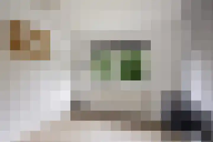 Van Dillewijndreef 7 Amersfoort thumbnail 19
