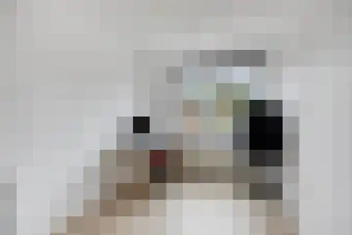 Van Dillewijndreef 7 Amersfoort thumbnail 23